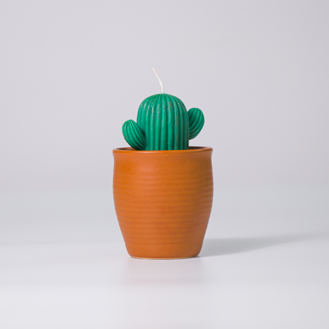 Cactus Soy Wax Candle