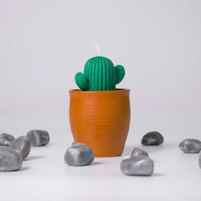 Cactus Soy Wax Candle