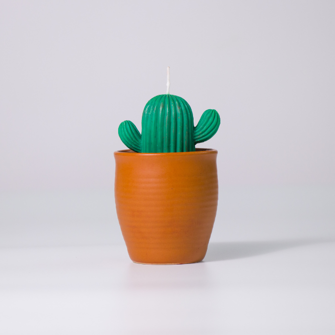 Cactus Soy Wax Candle